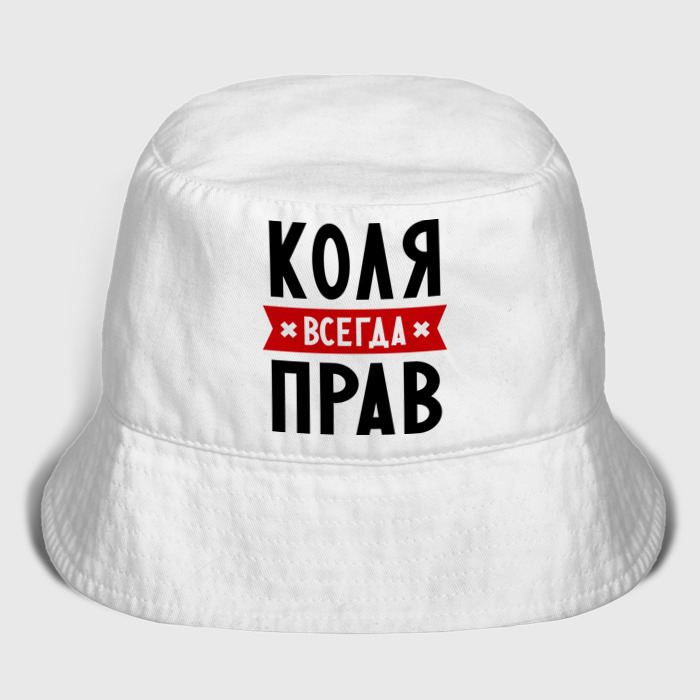 Мужская панама хлопок Коля всегда прав фото