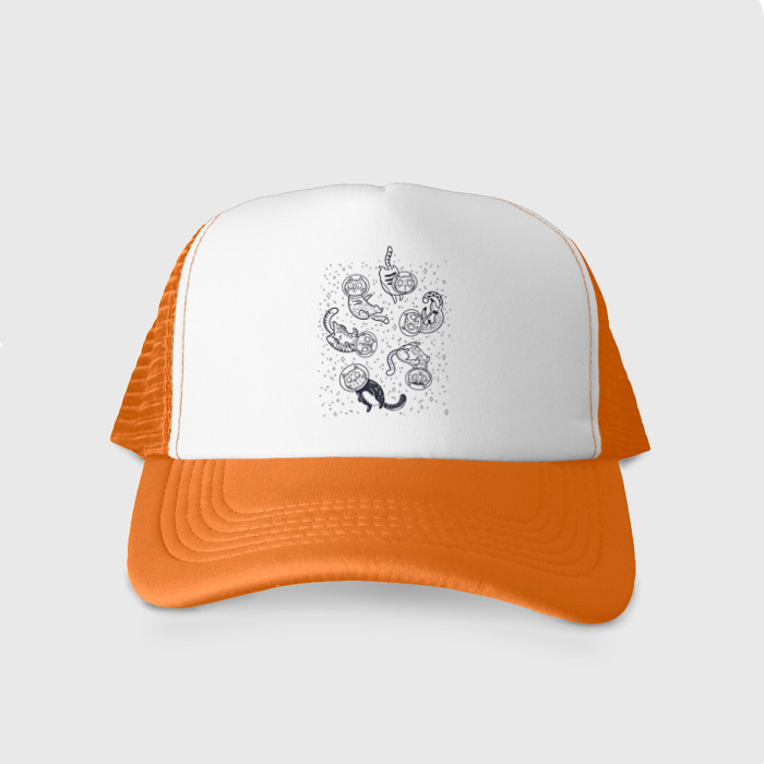 Кепка тракер с сеткой Котики в космосе фото