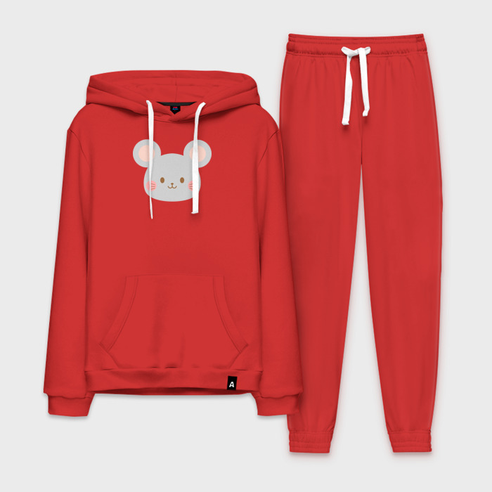 Мужской костюм хлопок с толстовкой Серый мышонок фото