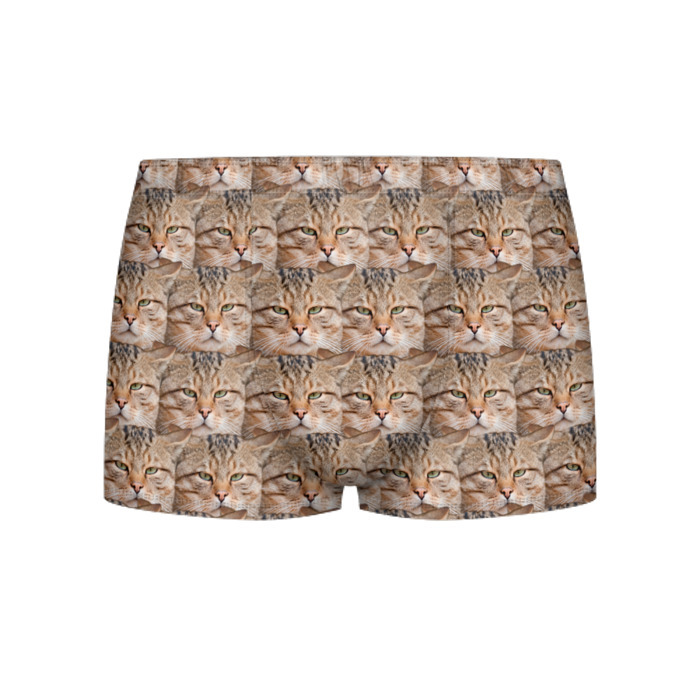 Мужские трусы 3D Кот   Гипнокот фото