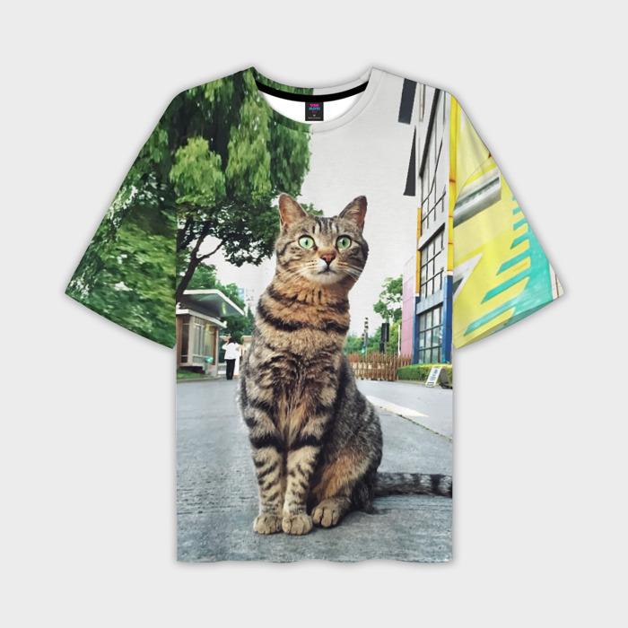 Мужская футболка oversize 3D Уличный котяра на своём районе фото