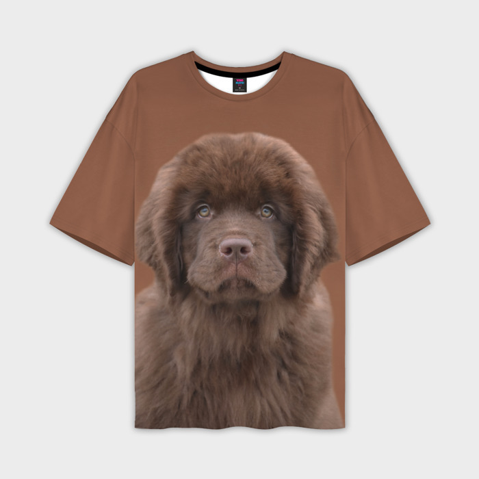 Мужская футболка oversize 3D Ньюфаундленд шоколадный фото
