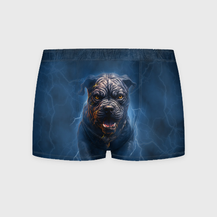 Мужские трусы 3D Питбуль и молнии фото