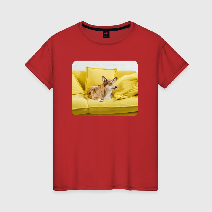 Женская футболка хлопок Корги на диване фото