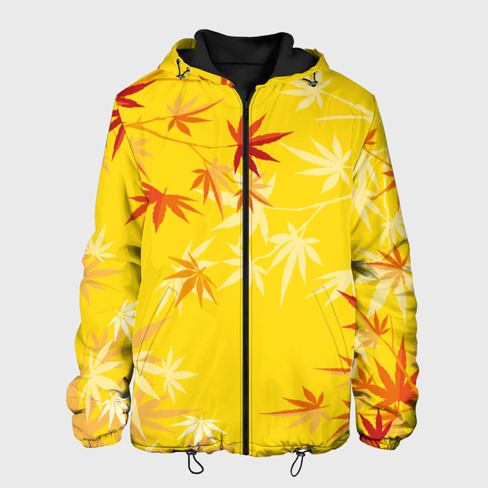 Мужская куртка 3D Листья японского клена фото
