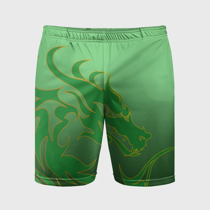 Мужские шорты спортивные Зеленый дракон фото