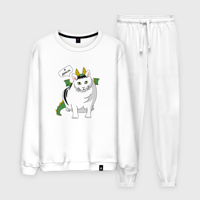 Мужской костюм хлопок Я дракон фото