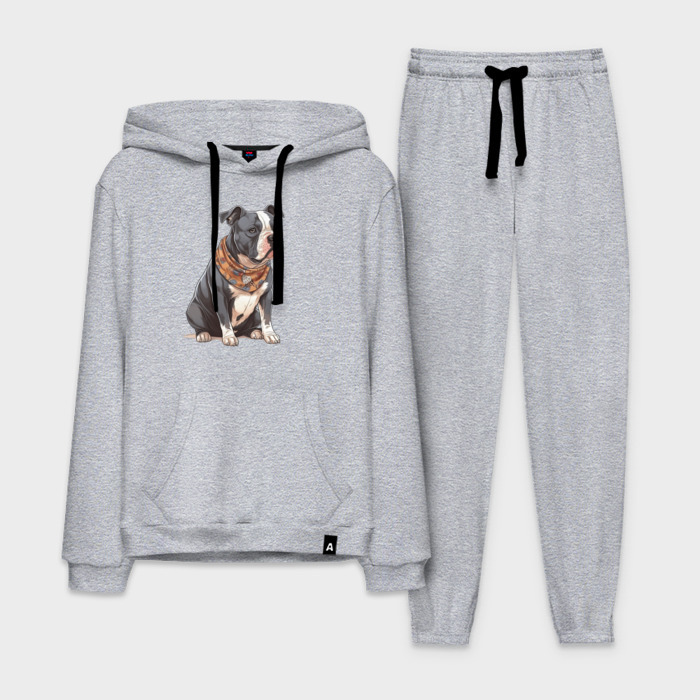 Мужской костюм хлопок с толстовкой Американский булли в шарфике фото