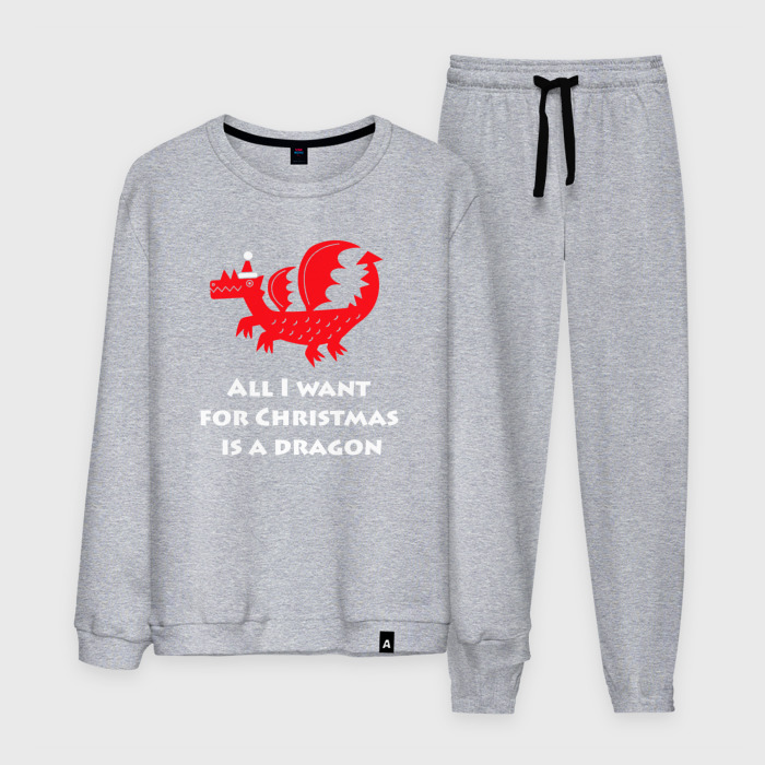 Мужской костюм хлопок Хочу дракона на Рождество фото