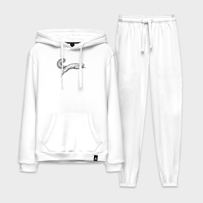 Мужской костюм хлопок с толстовкой Белка валяется фото