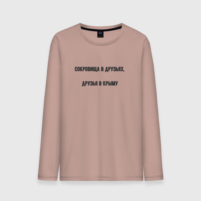 Мужской лонгслив хлопок Сокровища в друзьях фото