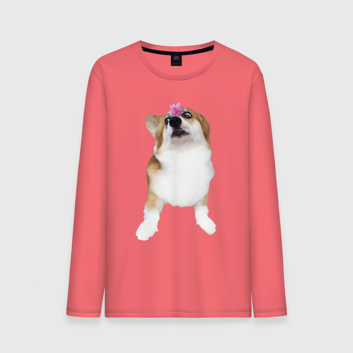 Мужской лонгслив хлопок Взрослая собака корги фото