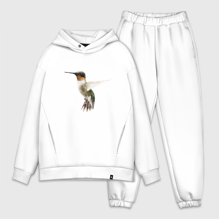 Мужской костюм oversize хлопок Рубиновогорлый колибри фото