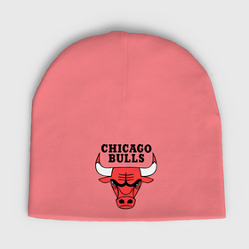 Мужская шапка демисезонная с принтом Chicago bulls logo в Санкт-Петербурге,  |  | Тематика изображения на принте: chicago bulls | newtop | swag | swag style | toplanding | одежда сваг | сваг | сваг стиль | свег | свог | свэг | чикаго булз