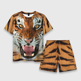 Мужской костюм с шортами 3D с принтом Тигр в Екатеринбурге,  |  | животные | зубы | кошка | тигр