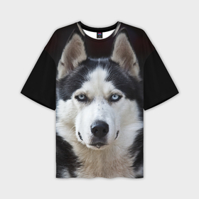 Мужская футболка oversize 3D с принтом Хаски голубоглазая собака в Петрозаводске,  |  | бандит | животное | порода | собака | хаски | хаски бандит