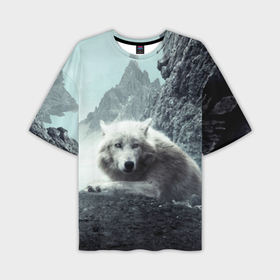 Мужская футболка oversize 3D с принтом Волк в горах в Тюмени,  |  | animal