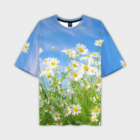 Мужская футболка oversize 3D с принтом Ромашки ,  |  | луг | цветы