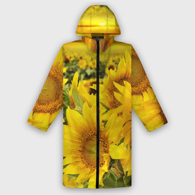 Мужской дождевик 3D с принтом Подсолнухи в Кировске,  |  | желтый | солнце | цветок | яркий