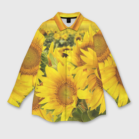 Мужская рубашка oversize 3D с принтом Подсолнухи в Кировске,  |  | желтый | солнце | цветок | яркий