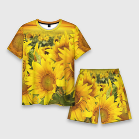 Мужской костюм с шортами 3D с принтом Подсолнухи в Курске,  |  | желтый | солнце | цветок | яркий