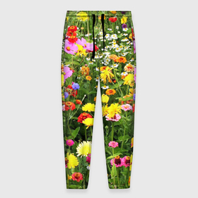 Мужские брюки 3D с принтом Полевые цветы луговые , 100% полиэстер | манжеты по низу, эластичный пояс регулируется шнурком, по бокам два кармана без застежек, внутренняя часть кармана из мелкой сетки | поле | полевые цветы | цветы
