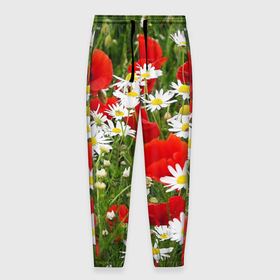 Мужские брюки 3D с принтом Полевые цветы  маки и ромашки в Новосибирске, 100% полиэстер | манжеты по низу, эластичный пояс регулируется шнурком, по бокам два кармана без застежек, внутренняя часть кармана из мелкой сетки | поле | полевые цветы | цветы