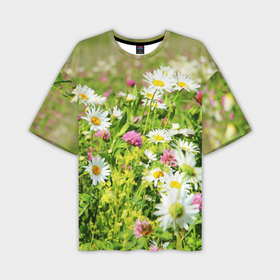 Мужская футболка oversize 3D с принтом Полевые цветы   луговые в Петрозаводске,  |  | Тематика изображения на принте: поле | полевые цветы | цветы