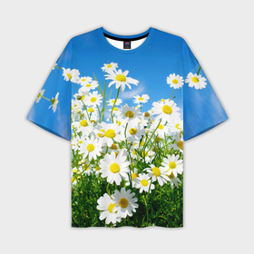 Мужская футболка oversize 3D с принтом Полевые цветы   ромашки в Петрозаводске,  |  | Тематика изображения на принте: поле | полевые цветы | цветы