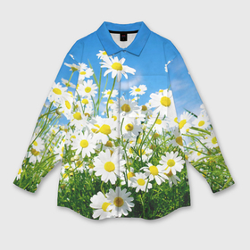 Мужская рубашка oversize 3D с принтом Полевые цветы   ромашки в Тюмени,  |  | Тематика изображения на принте: поле | полевые цветы | цветы