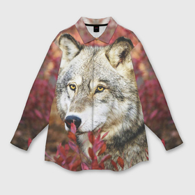 Мужская рубашка oversize 3D с принтом Волк осенний лес в Курске,  |  | волк | хищник