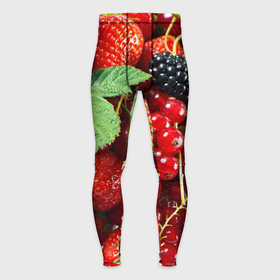 Мужские тайтсы 3D с принтом Любимые ягоды ,  |  | Тематика изображения на принте: вкусно | голубика | дача | деревня | ежевика | зелень | клубника | малина | огород | полезно | сад | смородина | сок | фрукты | черника | шиповник | ягоды