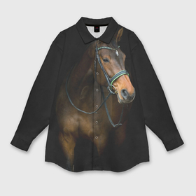 Мужская рубашка oversize 3D с принтом Породистый жеребец в Белгороде,  |  | жеребец | животные | конь | лошадка | лошадь | погоня | седло | скакун | скачки | узда