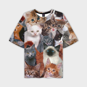 Мужская футболка oversize 3D с принтом Котики ,  |  | cat | cats | кот | котик | коты | котята