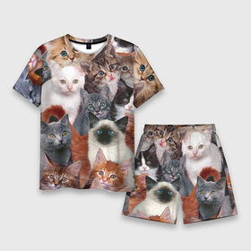 Мужской костюм с шортами 3D с принтом Котики в городе Новоалтайск,  |  | cat | cats | кот | котик | коты | котята