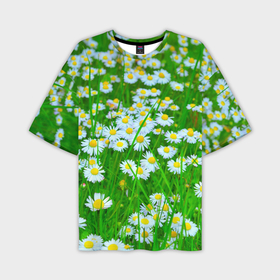 Мужская футболка oversize 3D с принтом Ромашки в Петрозаводске,  |  | Тематика изображения на принте: поле | природа | ромашка | цветы