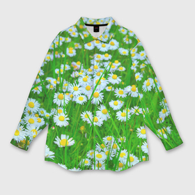 Мужская рубашка oversize 3D с принтом Ромашки в Петрозаводске,  |  | Тематика изображения на принте: поле | природа | ромашка | цветы