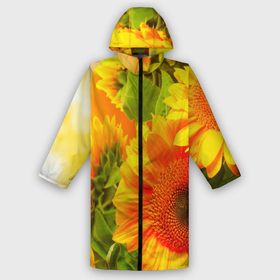 Мужской дождевик 3D с принтом Подсолнух в Кировске,  |  | желтая | подсолнух | поле | природа | цветы