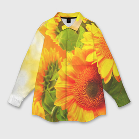 Мужская рубашка oversize 3D с принтом Подсолнух в Санкт-Петербурге,  |  | желтая | подсолнух | поле | природа | цветы