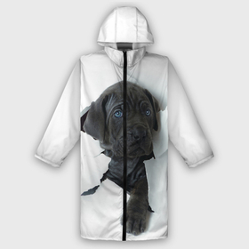 Мужской дождевик 3D с принтом Дог в Новосибирске,  |  | Тематика изображения на принте: animal | black | break | breed | dog | kid | paper | puppy | tear | torn | дог | животное | малыш | порода | прорыв | разрыв | рваная | собака | черный | щенок