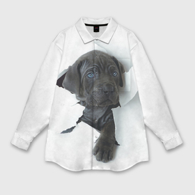 Мужская рубашка oversize 3D с принтом Дог в Новосибирске,  |  | Тематика изображения на принте: animal | black | break | breed | dog | kid | paper | puppy | tear | torn | дог | животное | малыш | порода | прорыв | разрыв | рваная | собака | черный | щенок