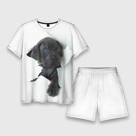 Мужской костюм с шортами 3D с принтом Дог в Санкт-Петербурге,  |  | animal | black | break | breed | dog | kid | paper | puppy | tear | torn | дог | животное | малыш | порода | прорыв | разрыв | рваная | собака | черный | щенок