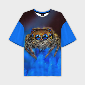 Мужская футболка oversize 3D с принтом Паук в Тюмени,  |  | Тематика изображения на принте: глаза | животные | насекомые | паук | природа