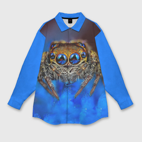 Мужская рубашка oversize 3D с принтом Паук в Тюмени,  |  | Тематика изображения на принте: глаза | животные | насекомые | паук | природа