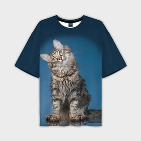Мужская футболка oversize 3D с принтом Мейн кун 2 в Новосибирске,  |  | Тематика изображения на принте: кот | котенок | котик | котэ | кошка | мейн кун | мейнкун | мэйн кун | мэйнкун