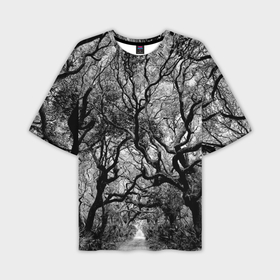 Мужская футболка oversize 3D с принтом Деревья в Курске,  |  | black   white | crown | curly | forest | park | path | photo | thick | trees | деревья | дорожка | дремучий | крона | кудрявая | лес | парк | фото | черно   белое
