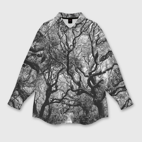 Мужская рубашка oversize 3D с принтом Деревья в Курске,  |  | black   white | crown | curly | forest | park | path | photo | thick | trees | деревья | дорожка | дремучий | крона | кудрявая | лес | парк | фото | черно   белое