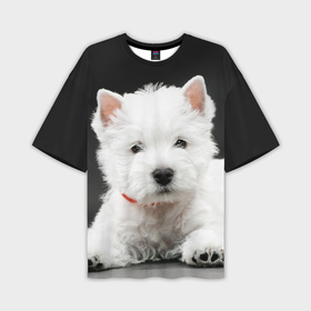 Мужская футболка oversize 3D с принтом Вест хайленд уайт терьер в Кировске,  |  | вест хайленд уайт терьер | животное | порода | собака