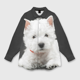 Мужская рубашка oversize 3D с принтом Вест хайленд уайт терьер в Петрозаводске,  |  | вест хайленд уайт терьер | животное | порода | собака