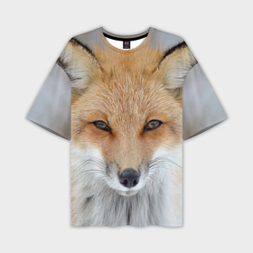 Мужская футболка oversize 3D с принтом Лиса в Тюмени,  |  | animal | baby | fox | look | predator | red | sly | wild | взгляд | дикая | животное | лиса | малыш | рыжая | хитрая | хищник